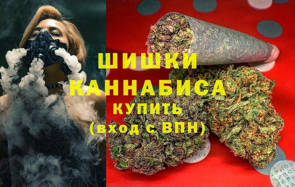 сатива Гатчина