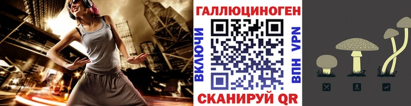 Псилоцибиновые грибы Psilocybine cubensis  Щёкино 